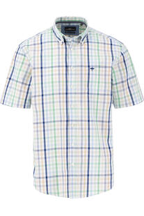 FYNCH HATTON Hemd torf green kariert Regular Fit Kurzarm