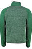 Vorschaubild zu REGATTA Fleece-Jacke Coladane gr�n, 1