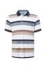 Vorschaubild zu PIERRE CARDIN Polo-Shirt otter gestreift